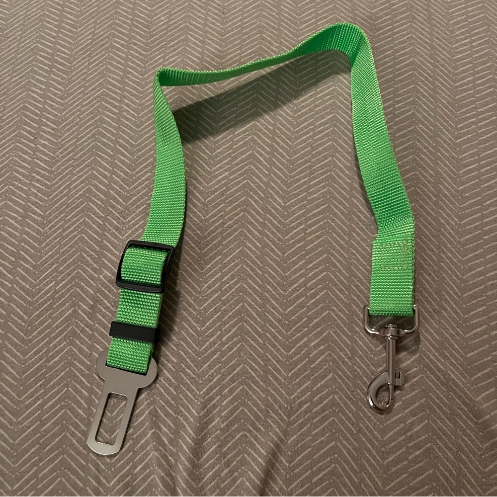 PET SEATBELT